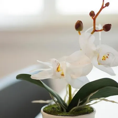 Oda ve Kahvaltı Casacapaldo 4*